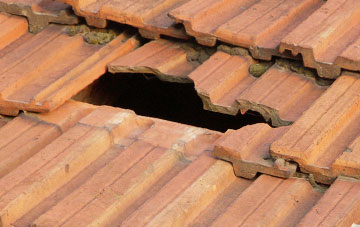 roof repair Copthill, County Durham